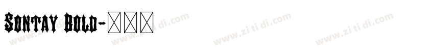 Sontay Bold字体转换